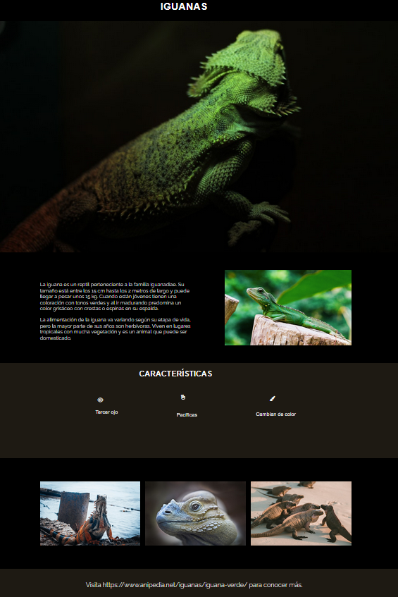 Landing Page de Iguana
